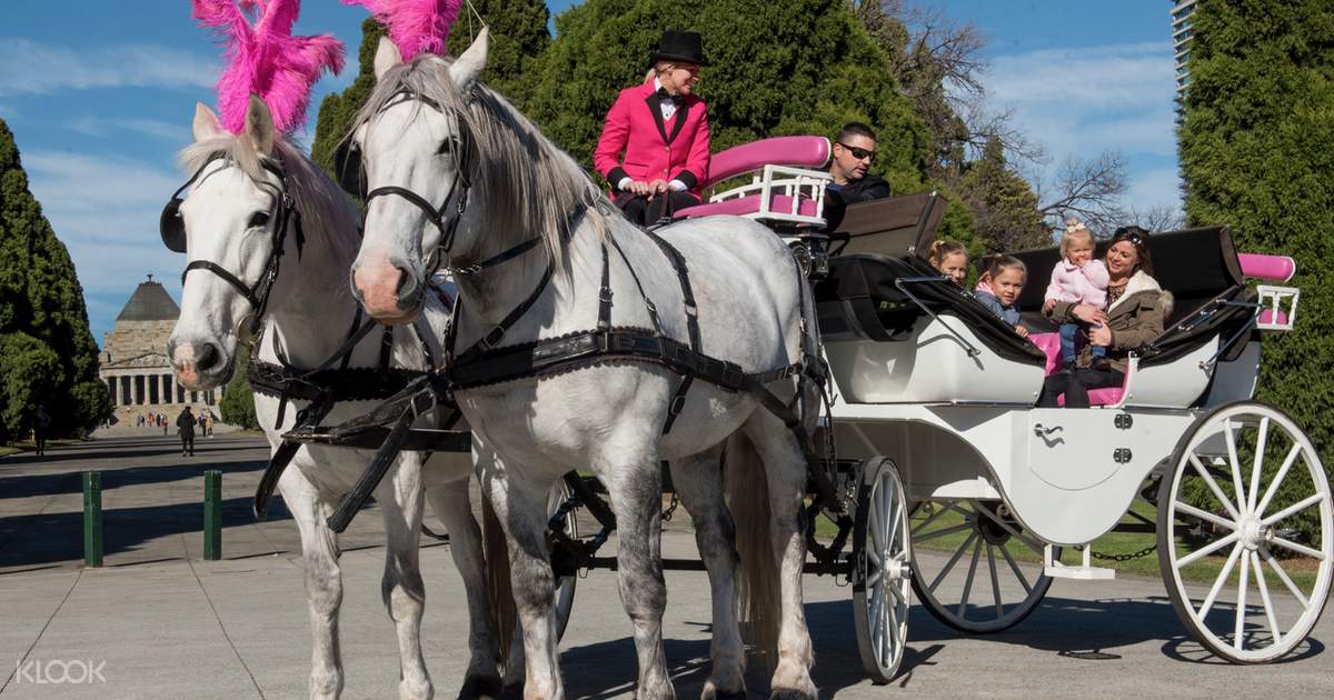 Melbourne Horse and Carriage Tour Klook Australia